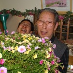 花とたわむれる