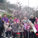 太宰府天満宮　梅見